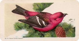 1959 Brooke Bond (Red Rose Tea) Songbirds of North America #36 White-winged Crossbill Front