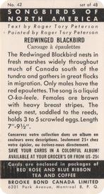 1959 Brooke Bond (Red Rose Tea) Songbirds of North America #42 Red-winged Blackbird Back