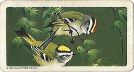 1959 Brooke Bond (Red Rose Tea) Songbirds of North America #44 Golden-crowned Kinglet Front