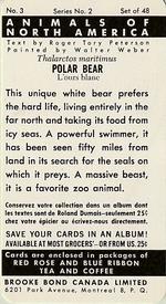 1960 Brooke Bond (Red Rose Tea) Animals of North America #3 Polar Bear Back