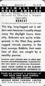 1960 Brooke Bond (Red Rose Tea) Animals of North America #4 Bobcat Back