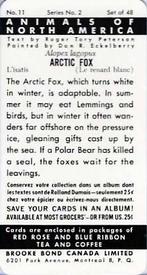 1960 Brooke Bond (Red Rose Tea) Animals of North America #11 Arctic Fox Back