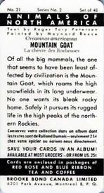 1960 Brooke Bond (Red Rose Tea) Animals of North America #31 Mountain Goat Back