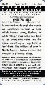 1960 Brooke Bond (Red Rose Tea) Animals of North America #35 Whitetail Deer Back