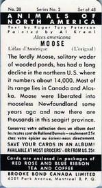 1960 Brooke Bond (Red Rose Tea) Animals of North America #38 Moose Back