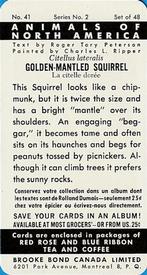 1960 Brooke Bond (Red Rose Tea) Animals of North America #41 Golden-Mantled Squirrel Back