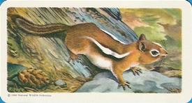 1960 Brooke Bond (Red Rose Tea) Animals of North America #41 Golden-Mantled Squirrel Front