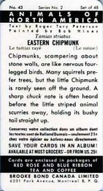 1960 Brooke Bond (Red Rose Tea) Animals of North America #43 Eastern Chipmunk Back