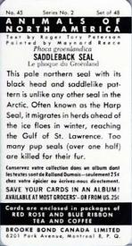 1960 Brooke Bond (Red Rose Tea) Animals of North America #45 Saddleback Seal Back