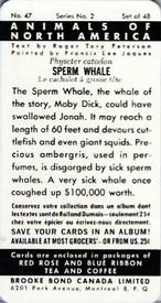 1960 Brooke Bond (Red Rose Tea) Animals of North America #47 Sperm Whale Back