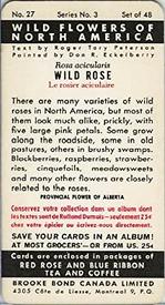 1961 Brooke Bond (Red Rose Tea) Wild Flowers of North America #27 Wild Rose Back