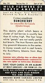1961 Brooke Bond (Red Rose Tea) Wild Flowers of North America #35 Bunchberry Back