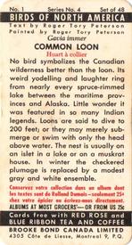 1962 Brooke Bond (Red Rose Tea) Birds of North America #1 Common Loon Back
