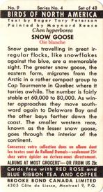 1962 Brooke Bond (Red Rose Tea) Birds of North America #9 Snow Goose Back