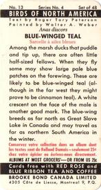 1962 Brooke Bond (Red Rose Tea) Birds of North America #13 Blue-winged Teal Back