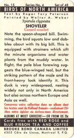 1962 Brooke Bond (Red Rose Tea) Birds of North America #15 Shoveler Back