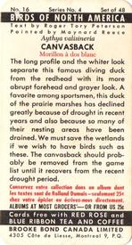 1962 Brooke Bond (Red Rose Tea) Birds of North America #16 Canvasback Back