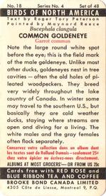 1962 Brooke Bond (Red Rose Tea) Birds of North America #18 Common Goldeneye Back