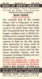 1962 Brooke Bond (Red Rose Tea) Birds of North America #26 Bald Eagle Back