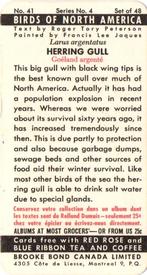 1962 Brooke Bond (Red Rose Tea) Birds of North America #41 Herring Gull Back
