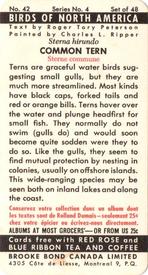 1962 Brooke Bond (Red Rose Tea) Birds of North America #42 Common Tern Back