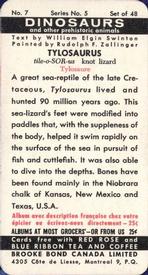 1963 Brooke Bond (Red Rose Tea) Dinosaurs #7 Tylosaurus Back