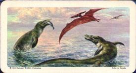 1963 Brooke Bond (Red Rose Tea) Dinosaurs #7 Tylosaurus Front