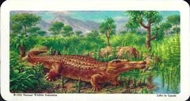 1963 Brooke Bond (Red Rose Tea) Dinosaurs #9 Phytosaurus Front