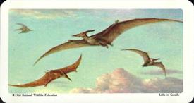 1963 Brooke Bond (Red Rose Tea) Dinosaurs #38 Pteranodon Front