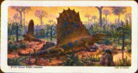 1963 Brooke Bond (Red Rose Tea) Dinosaurs #42 Dimetrodon Front