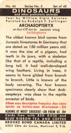 1963 Brooke Bond (Red Rose Tea) Dinosaurs #46 Archaeopteryx Back
