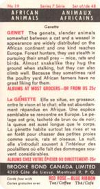 1964 Brooke Bond (Red Rose Tea)  African Animals #19 Genet Back