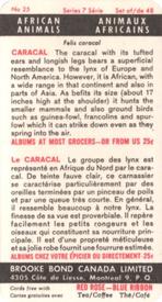 1964 Brooke Bond (Red Rose Tea)  African Animals #25 Caracal Back