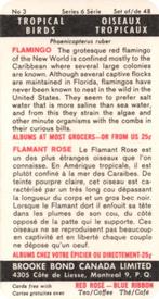 1964 Brooke Bond (Red Rose Tea) Tropical Birds #3 Flamingo Back