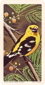 1964 Brooke Bond (Red Rose Tea) Tropical Birds #48 Yellow Grosbeak Front