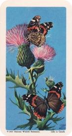 1965 Brooke Bond (Red Rose Tea) Butterflies of North America #17 Red Admiral Front