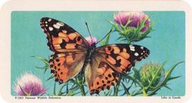 1965 Brooke Bond (Red Rose Tea) Butterflies of North America #18 Painted Lady Front