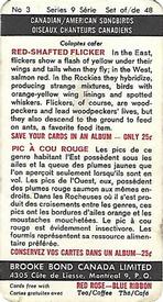 1966 Brooke Bond (Red Rose Tea) Canadian / American Songbirds (Canadian Black Backs) #3 Red-Shafted Flicker Back