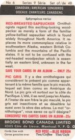 1966 Brooke Bond (Red Rose Tea) Canadian / American Songbirds (Canadian Black Backs) #6 Red-breasted Sapsucker Back