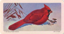 1966 Brooke Bond (Red Rose Tea) Canadian / American Songbirds (Canadian Black Backs) #37 Cardinal Front