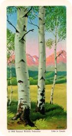 1968 Brooke Bond (Red Rose Tea) Trees of North America #16 Trembling Aspen Front