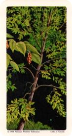 1968 Brooke Bond (Red Rose Tea) Trees of North America #24 Ironwood Front
