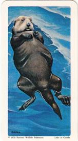 1970 Brooke Bond (Red Rose Tea) North American Wildlife in Danger #15 Sea Otter Front