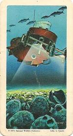 1971 Brooke Bond (Red Rose Tea) Exploring the Ocean #9 Undersea Archaeology Front