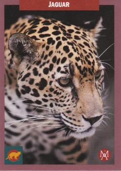 1992 Mundus Amicus Endangered Animals #1 Jaguar Front