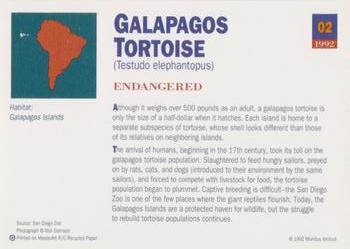 1992 Mundus Amicus Endangered Animals #2 Galapagos Tortoise Back