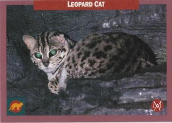 1992 Mundus Amicus Endangered Animals #7 Leopard Cat Front