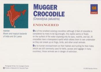 1992 Mundus Amicus Endangered Animals #8 Mugger Crocodile Back