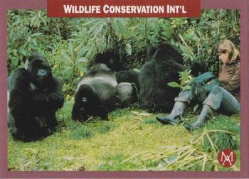 1992 Mundus Amicus Endangered Animals #12 Wildlife Conservation International Front