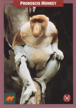 1992 Mundus Amicus Endangered Animals #15 Proboscis Monkey Front